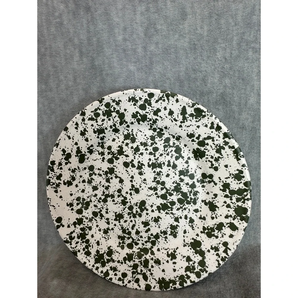 Bee & Willow‎ Melamine Splatter Plate Set White Green Dinnerware 10.5